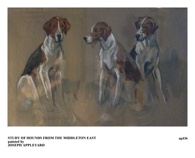 STUDY OF THREE HOUNDS FROM THE EAST MIDDLETON painted by JOSEPH APPLEYARD