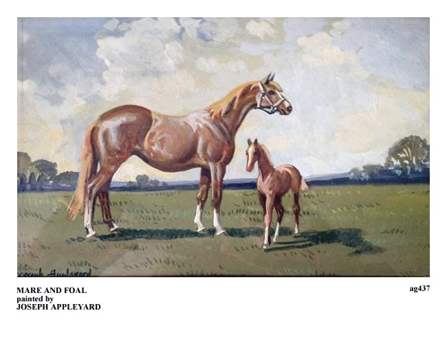 MARE AND FOAL painted by JOSEPH APPLEYARD