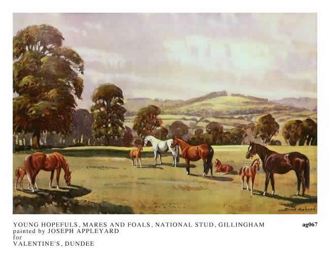 YOUNG HOPEFULS, MARES AND FOALS, THE NATIONAL STUD, GILLINGHAM painted by JOSEPH APPLEYARD