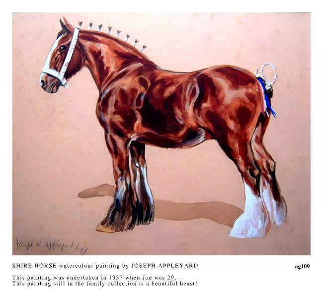 SHIRE HORSE painted by JOSEPH APPLEYARD