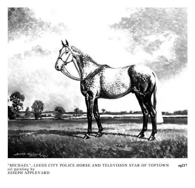 POLICE HORSE 'MICHAEL' painted by JOSEPH APPLEYARD