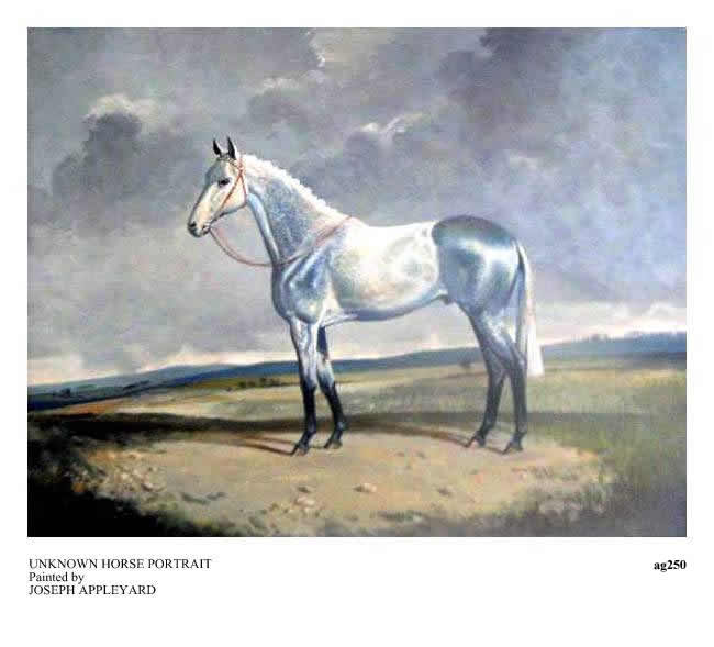 UNKNOWN HORSE PORTRAIT painted by JOSEPH APPLEYARD