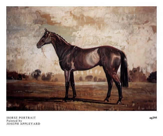 HORSE PORTRAIT painted by JOSEPH APPLEYARD