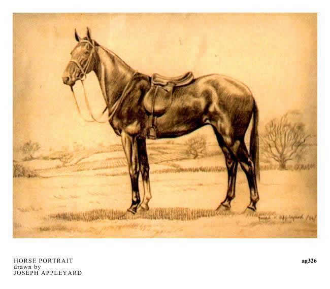 HORSE PORTRAIT drawn by JOSEPH APPLEYARD
