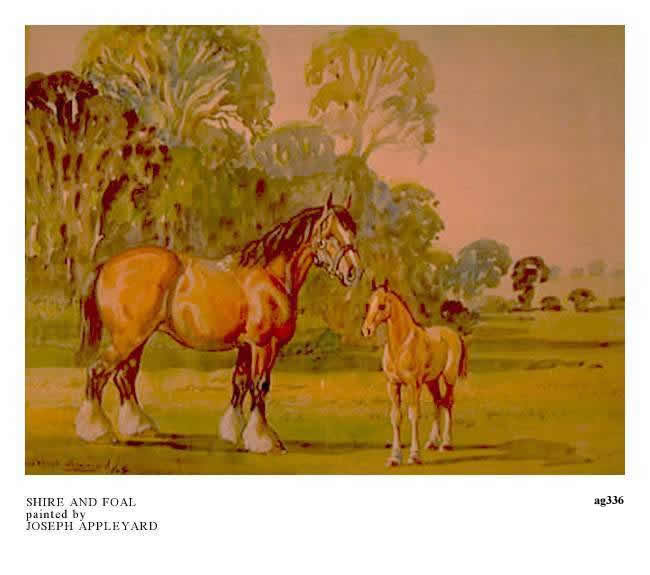 SHIRE AND FOAL, painted by JOSEPH APPLEYARD