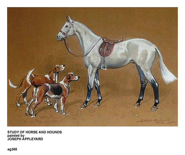 STUDY OF HORSE AND HOUNDS painted by JOSEPH APPLEYARD