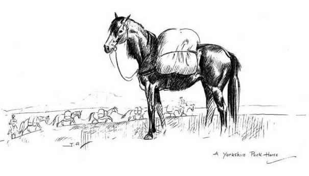 A YORKSHIRE PACK HORSE by JOSEPH APPLEYARD