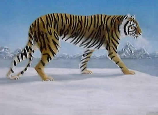  TIGER painted by DAVID APPLEYARD