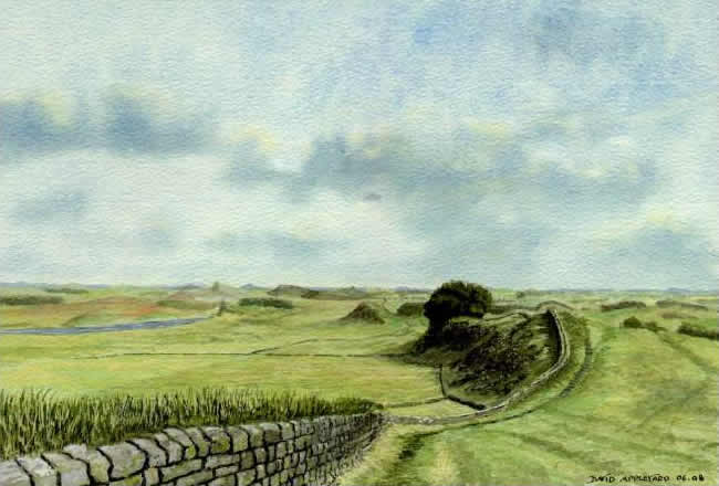 HADRIAN'S WALL painted by DAVID APPLEYARD
